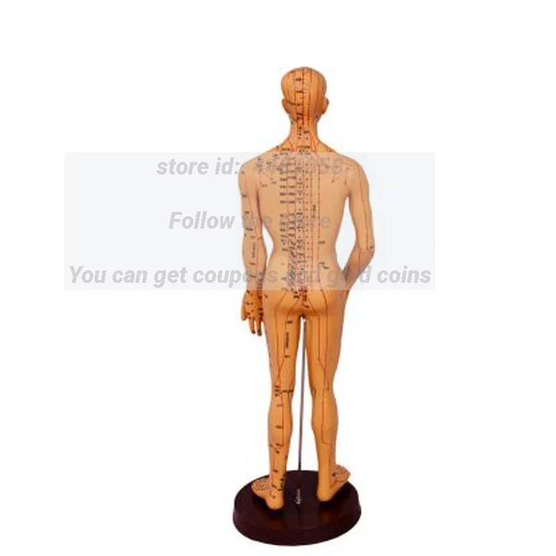 Female Lettering Point Mini Body Mannequin, Acupuncture, Medical Research, Massage, Reflex Zone Teaching Model, C518, 35cm