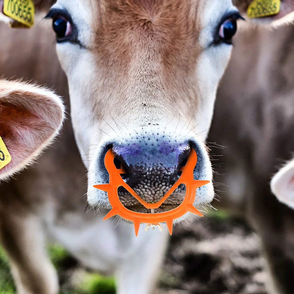 8 Pcs Bull Nose Ring Cow Rings The 1150X1000X250CM Portable Calf Weaner Orange Accessories Cattle