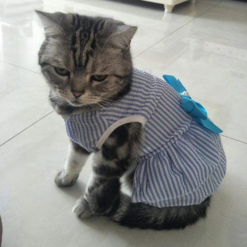 Spring Summer Stripe Sphynx Cat Bow Skirt Cute Pet Dress for Cats Gotas Katten Kedi Dresses mascotas Clothes Clothing vestido