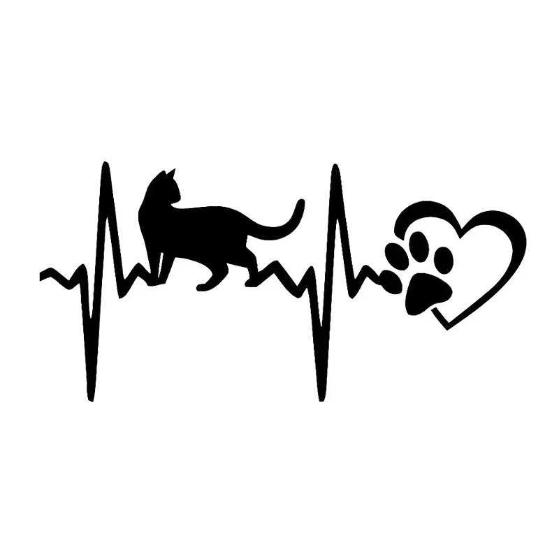 17*8.4 Cm Pulse Cat…