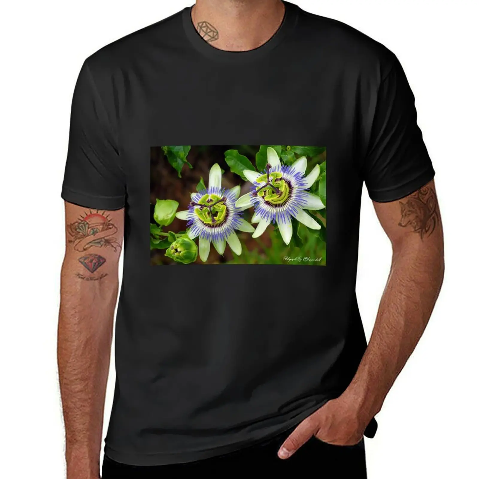 

Passion Flower 09921 T-Shirt sports fans tees heavyweights men clothings