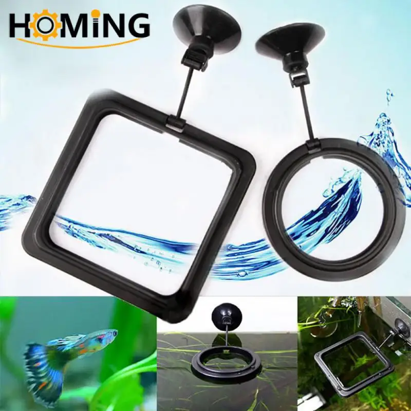 Fish Feeding Supplies Plastic Buoyancy Circle For Aquarium Floating Food Feeder Square/Round Feeding Ring Fish Tank Accessory