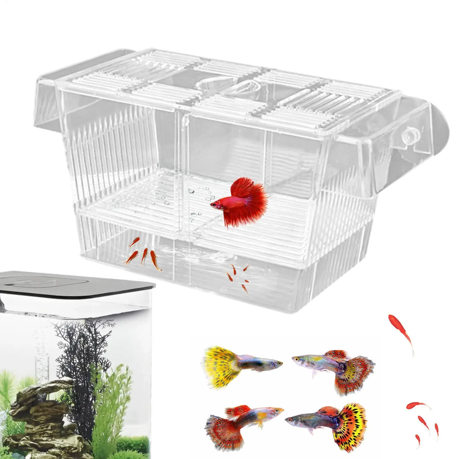 Caja de Cría para Peceras, Incubadora de Acrílico, Divisor de Peceras, Incubadora de Acrílico para Peces Bebés