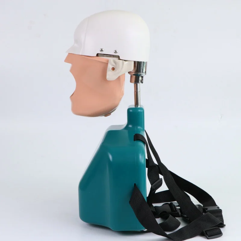 Dental Education Phantom Manikin Head with Torso Dental Simulator Model