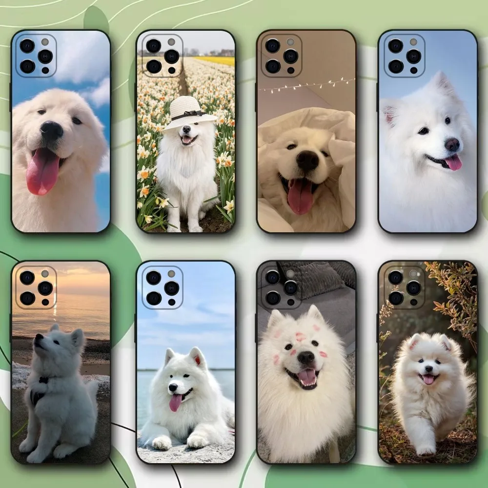 Samoyed Cute DOG Etui na telefon Apple iPhone 15,14,13,12,11,Pro,X,XS,Max,XR,Plus,Mini Miękki czarny pokrowiec
