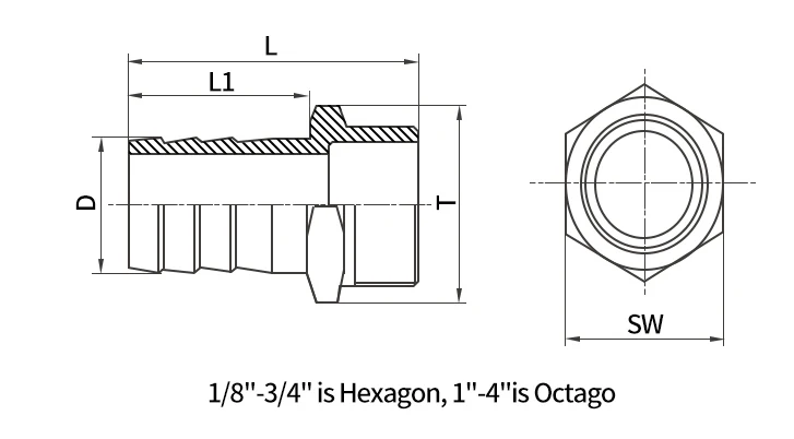 Schlauchanschluss aus 304 Edelstahl, 1/8' 1/4' 3/8' 1/2' BSP Außengewinde, Rohrfitting, Pagodenverbinder, Kupplung, Endstück – Detail 4