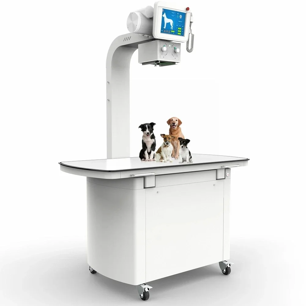 Pet Hospital Veterinary Dog Cat DR Veterinary X-ray Equipment Portable Veterinary Digital X-ray Machine Price