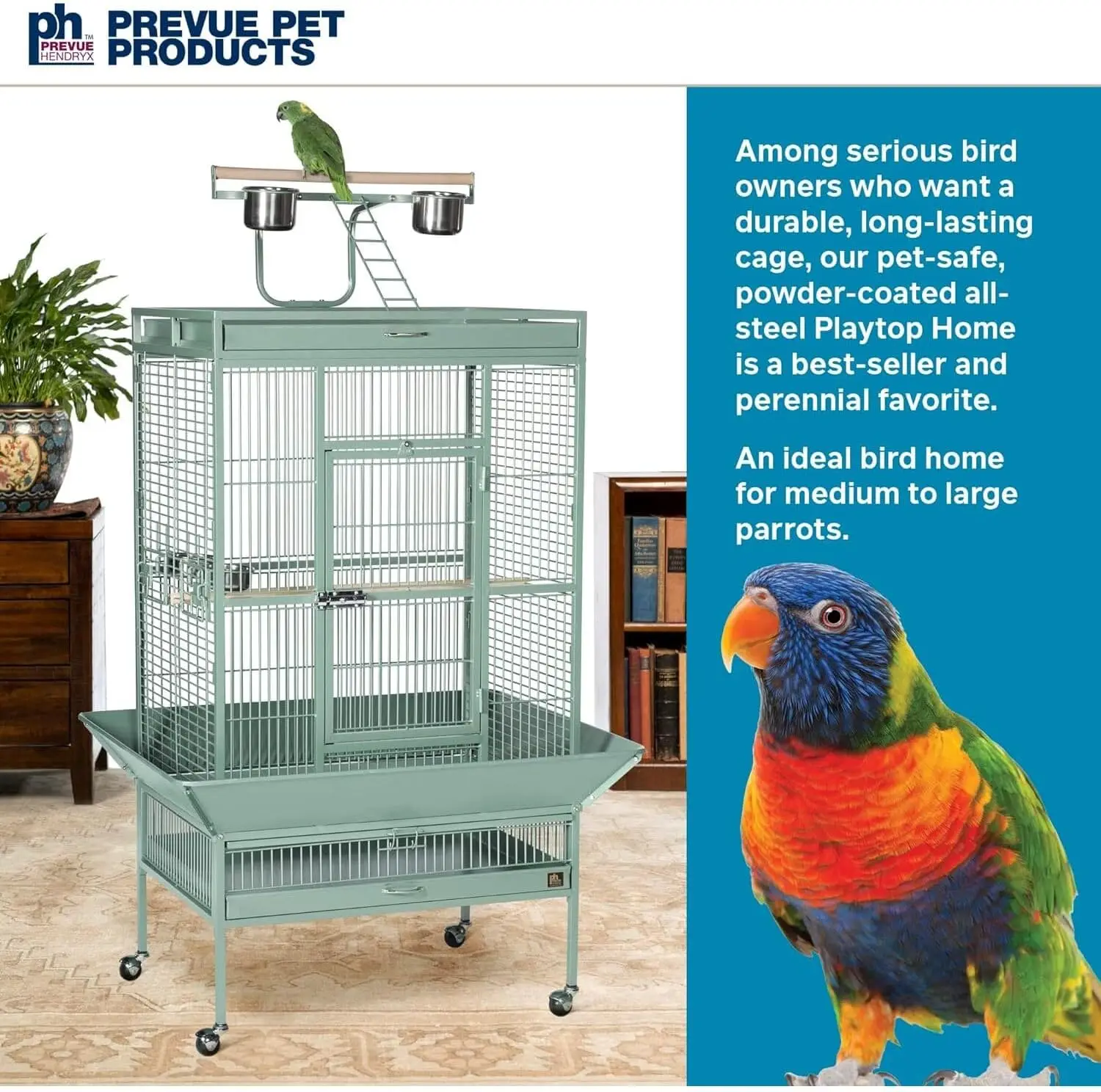 Wrought Iron Select Bird Cage 3153SAGE, Sage Green, 30-Inch by 22-Inch by 63-Inch