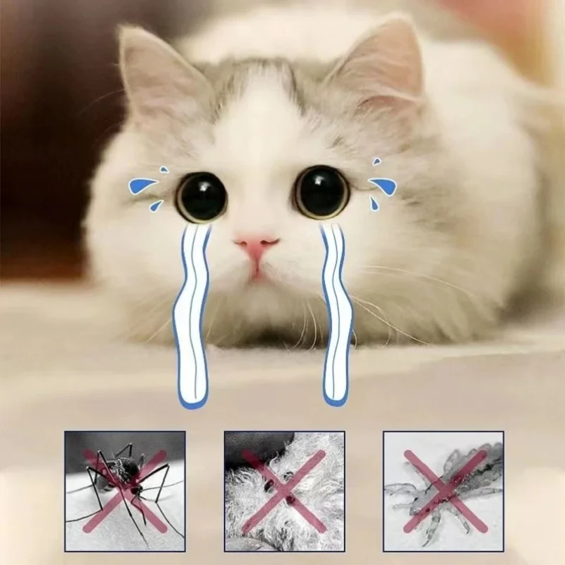 Collare anti-pulci per gatti Cani di piccola taglia Antiparassitario Protezione da 8 mesi Collare regolabile per cuccioli di gattino Accessori per animali domestici staccabili