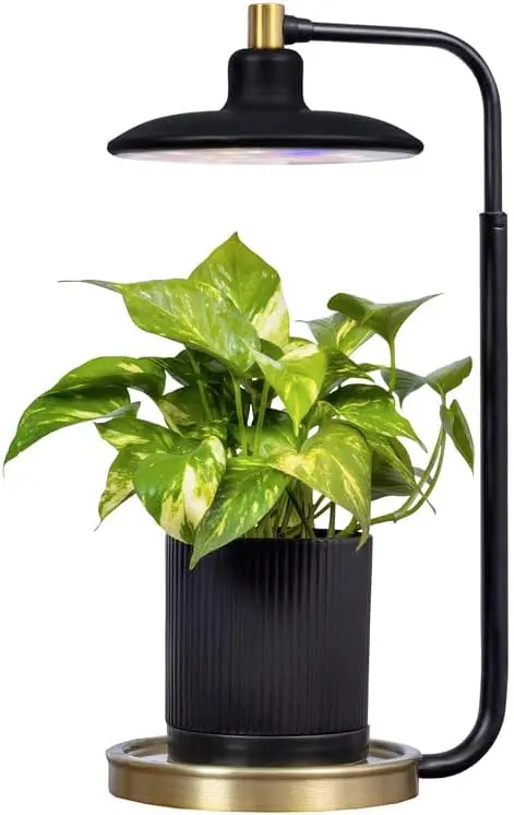 

Tabletop Grow Light for Indoor Plants, Grow Live Plants Anywhere in The Home, Adjustable Light Modes, Black