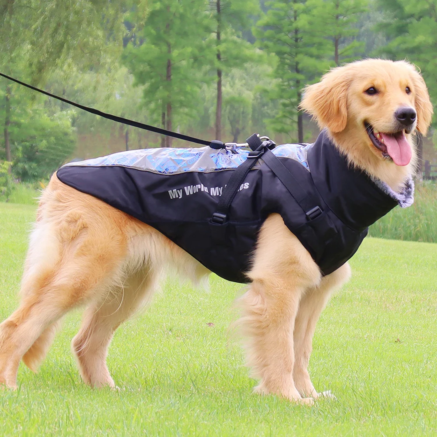 Veste chaude pour chien de compagnie avec SFP, manteau de coulée d'hiver, tenues de bouledogue français, vêtements pour animaux de compagnie, vêtements de Noël moyens, grand