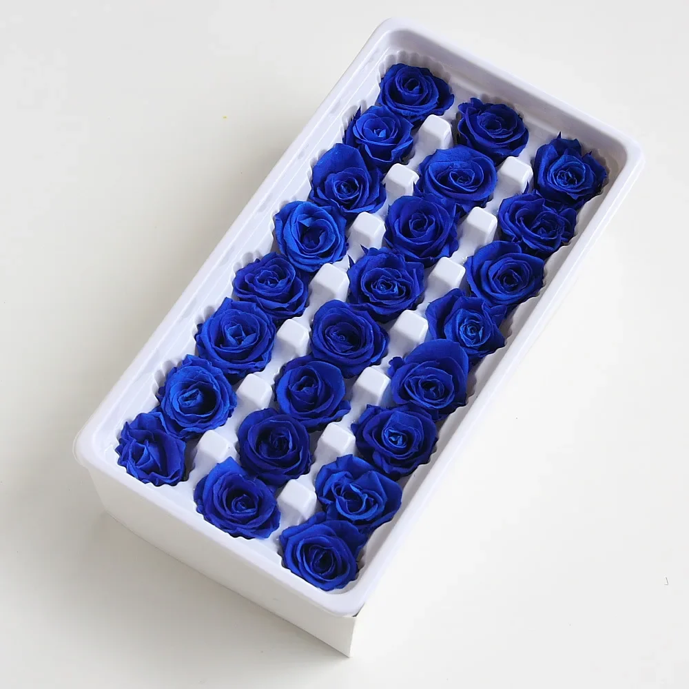 21pcs/box Preserved Flowers Rose Flower Immortal 2-3CM Diameter Mothers Day Gift Eternal Life Flower Material Gift Box Level B