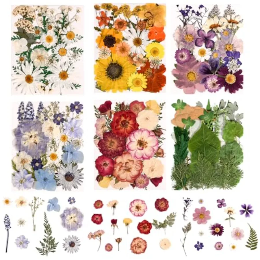 6 Pack 150PCS Real Pressed Dried Flowers Dry Leaves Craft Kit - Natural Dried Flowers for DIY Crafts, Resin Jewelry, Cards, Soa