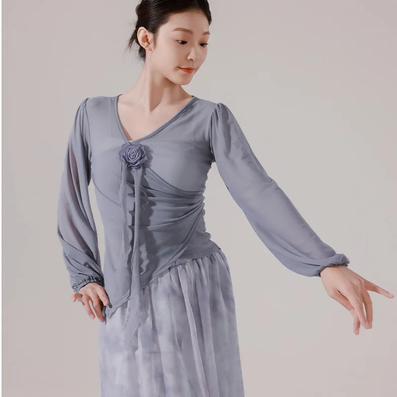 

Classical Dance Latin Practice Suit Modern Dance Costume Women Long Sleeve Spring New Style V-neck Flower Printed Top Dancewear