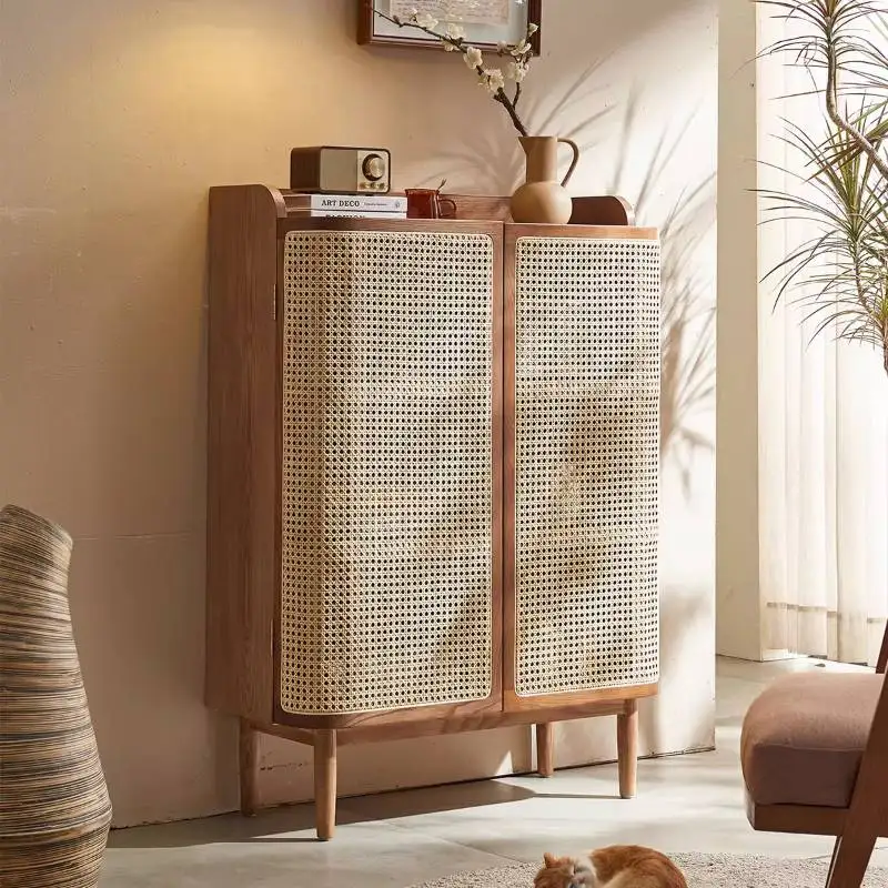 

Closed Style Shoe Cabinet Nordic Design Expandable Luxury Hidden Shoe Cabinets Storage Slim Mueble Zapatero Furniture For Home