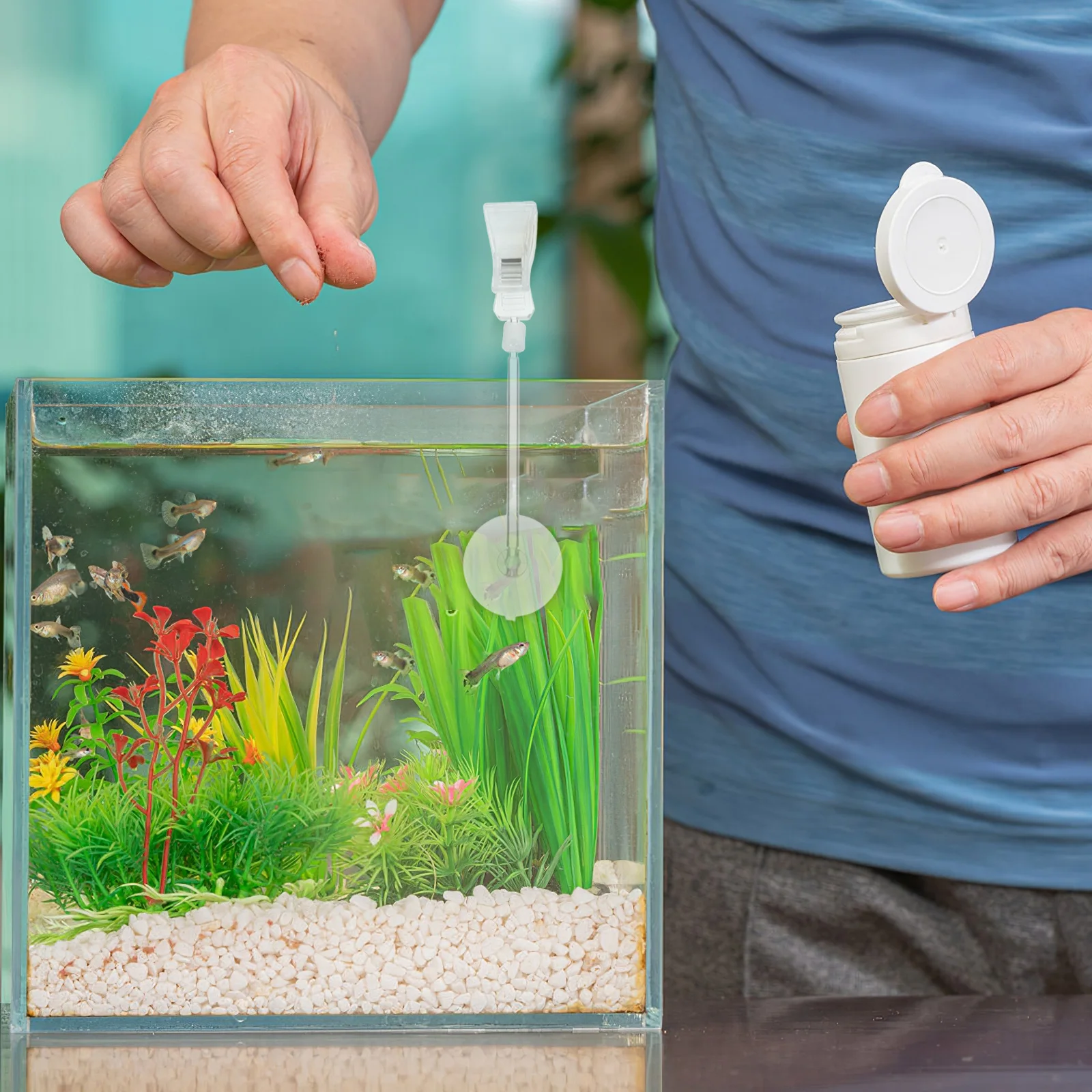 

3Pcs Aquarium Suction Cup Clips Transparent Practical Material Strong Degree Adjustable Fish Tank Clips