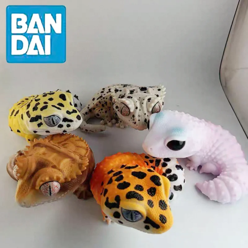 Original Bandai Gashapon ilustración biológica libro serie figura lagarto coleccionable Anime figura adornos modelo juguete para regalo