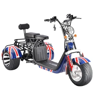 Erwachsene Reifen Erwachsene Trikes, Fahrzeug drei läuft die 10 Hauptverkaufsmotor Moto -Dreirad - №8