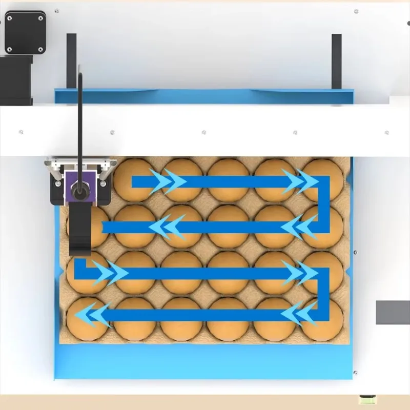 

High-Speed Egg Expiry Date Printer - Continuous Automatic Inkjet Coding Machine for Eggs
