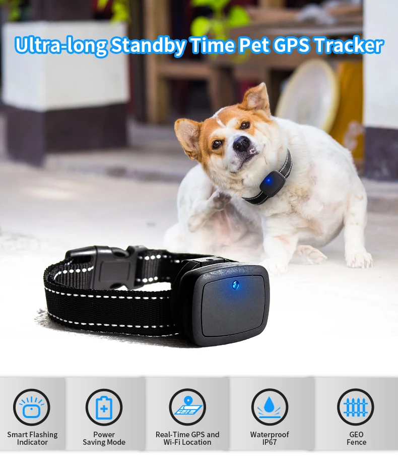 IP67 Waterproof Pet electric smart Collar Dog Fitness Activity Health pet Gps Tracker 4g Collar