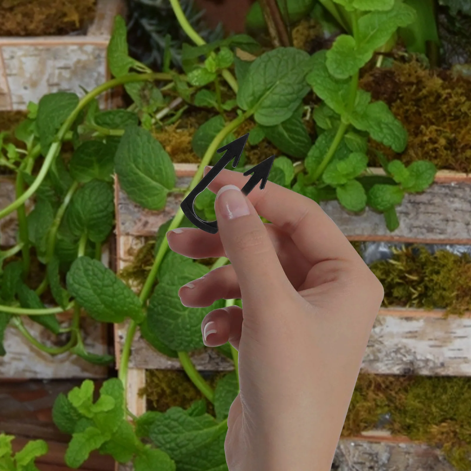 

200Pcs Plant Vine Fixing Clips PVC Gardening Fastening Vines Fixture Clamps Plant Support Holders for Watermelon Strawberry