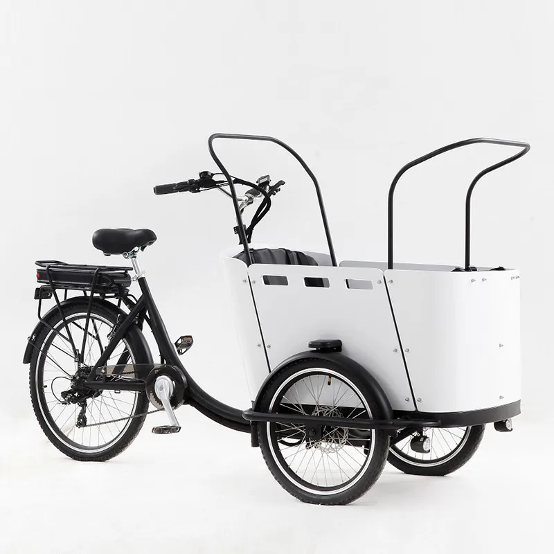 Electric Pedal 3 Wheels Cargo Bike with 250W Rear Motor for Carrying Kids or Pets