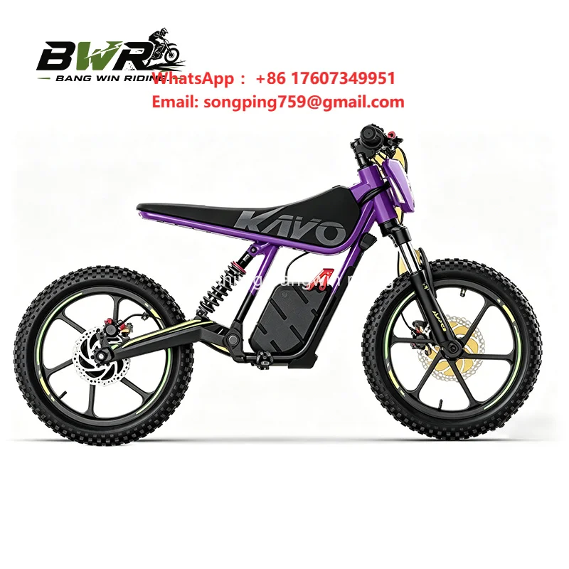 Alkaid EC2 Battery Management System (BMS) Module for Off-Road Electric Motorcycles and Energy Storage