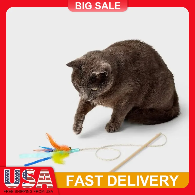 

15.6 Inch Feather Wand Cat Toy Interactive Wooden Stick with Colorful Tassels String Teaser Play Kitten Chasing Jumping