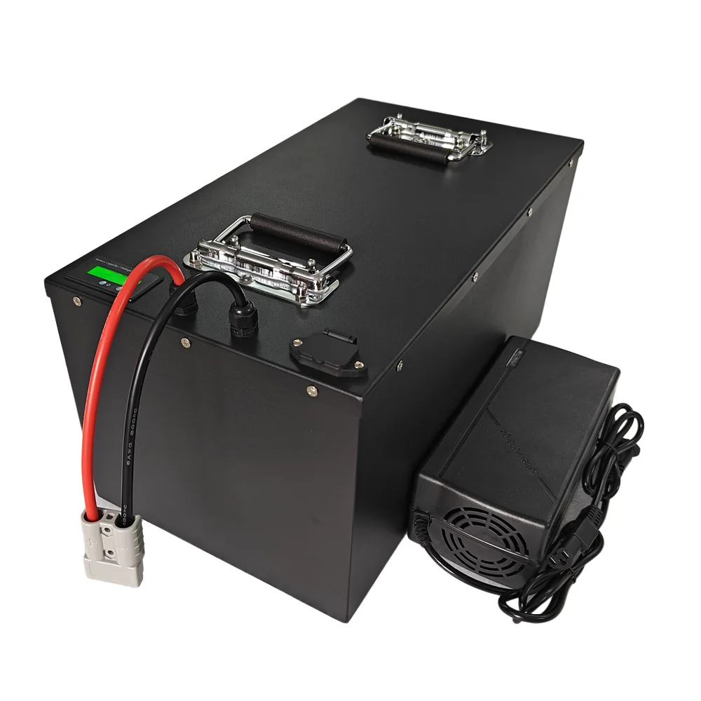 Lifepo4 60V 45Ah 50Ah 60Ah Lithium Battery for 2000W 3000W 4KW Mini Motorized 3wheel Adult Covered Mobility Vehicle Tractor