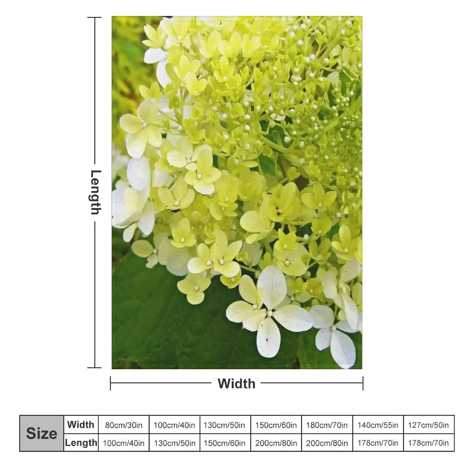 Elegant Chartreuse Green Limelight Hydrangea Macro Throw Blanket Large Soft Bed Fashionable Plaid Sofa Beach Blankets