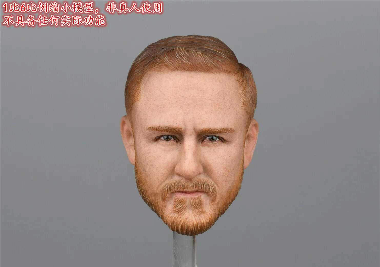 DAMTOYS 1/6 Scale DAM 78085 Seal Sniper Head Sculpture Model for 12