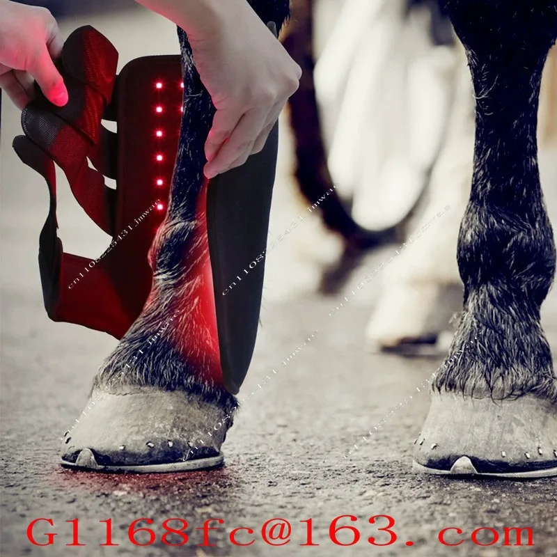 Pet Muscle Strain Wound Recovery, Horse Leg Portable Phototherapy