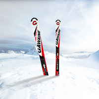 ARDEA OEM Professional fiberglass wood core Mountain Alpine Ski For Winter sport