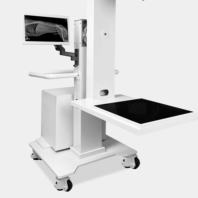 Rotating Arm Veterinary Digital Radiography X-RAY Machine For Animal Standing Posture