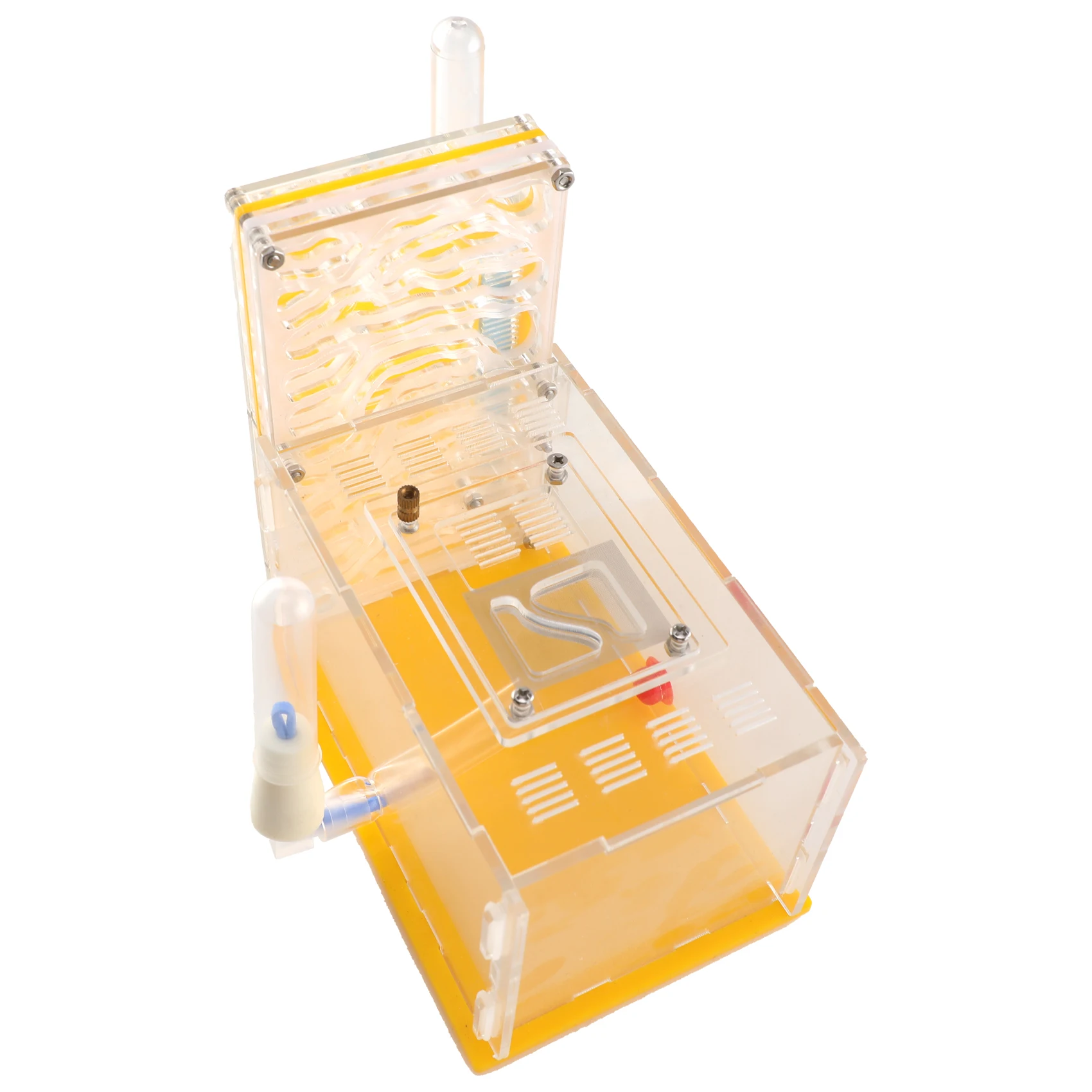 DIY T-Shaped Acrylic Ant Farm & Nest – High Clarity Transparent Insect Villa with Built-In Feeding Area