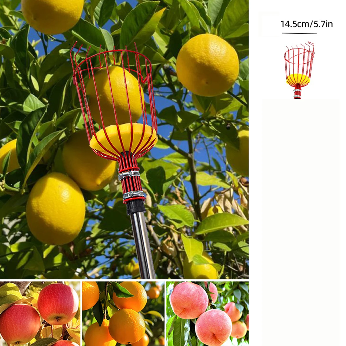 Fruit Picking Picker High Altitude Telescopic Collector Pole Plukker Collect Tool Fruits Trees Catcher