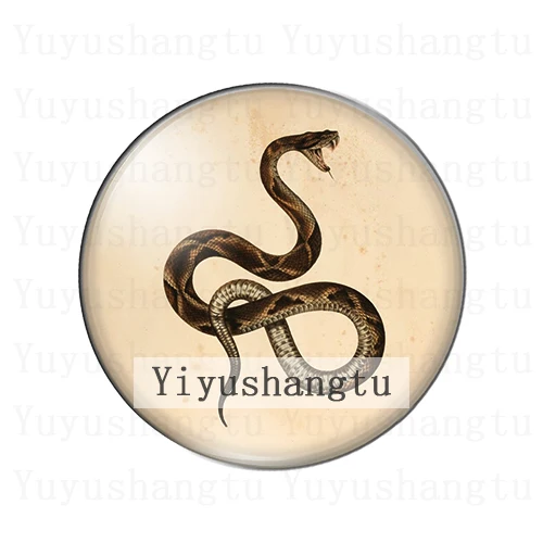 Forest animal snake art painting 12mm/20mm/25mm/30mm Round photo glass cabochon demo flat back Making findings