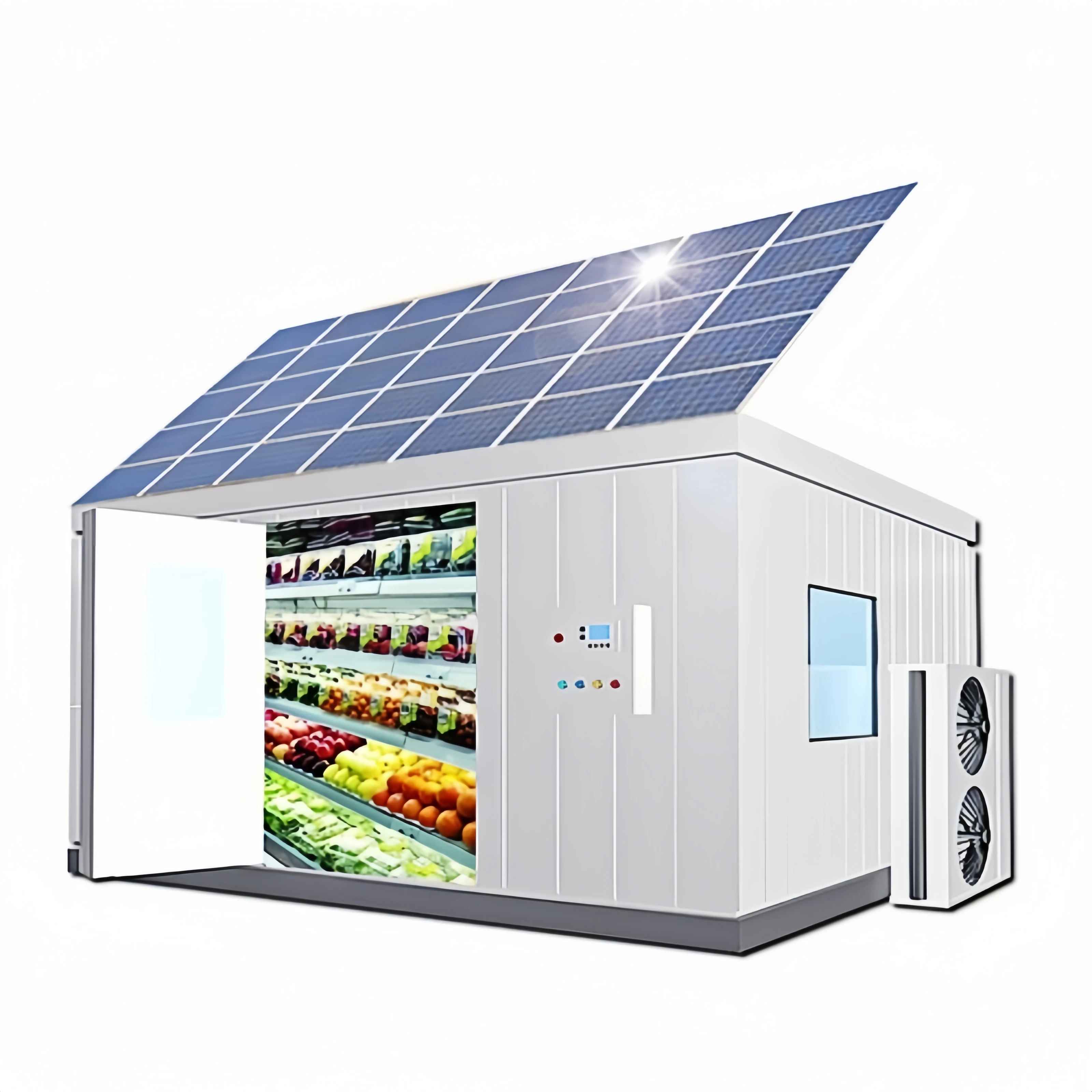 Beef Fish Meat Cold Storage Cool Room Freezer Refrigeration Solar Power System Compressor Container Freezer