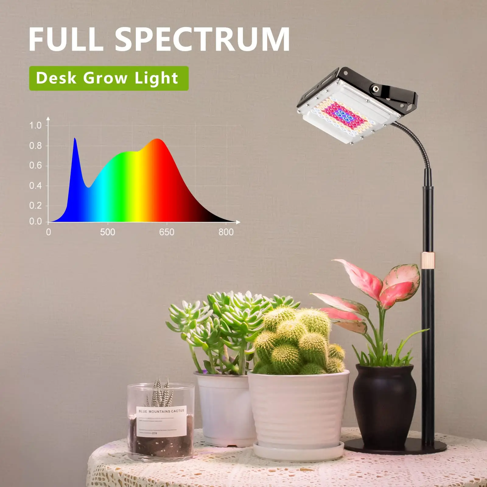 Full Spectrum Plant Grow Light Desk LED Dimmable Auto on/Off Timer Gooseneck Table Top Houseplants Growing Lamp for Indoor Plant