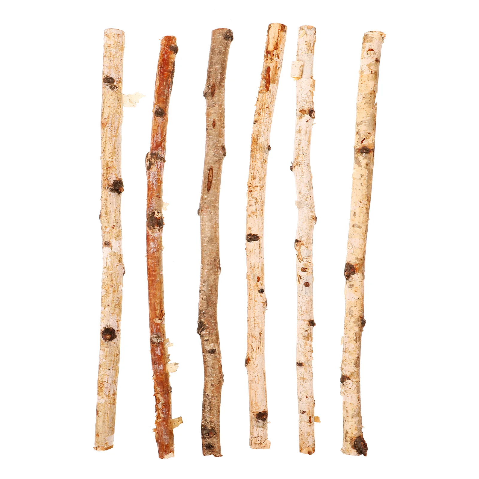 6 Pcs Natural Wood Stick Sticks Craft Dried Eucalyptus Tree Logs for Decoration Durable Wax