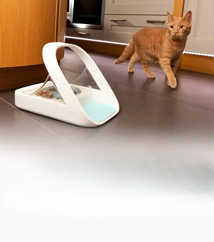 UK ChipPet Cat Bowl Puppy Wet Food Fresh and Insect-proof