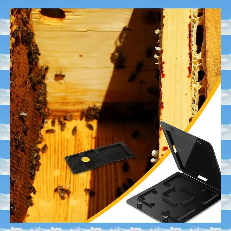 

A11I 50 Pcs Beehive Beetle Trap Black Plastic Beekeeping Tool Beekeeping For Beekeeping Keeping The Small Hive Beetle Out