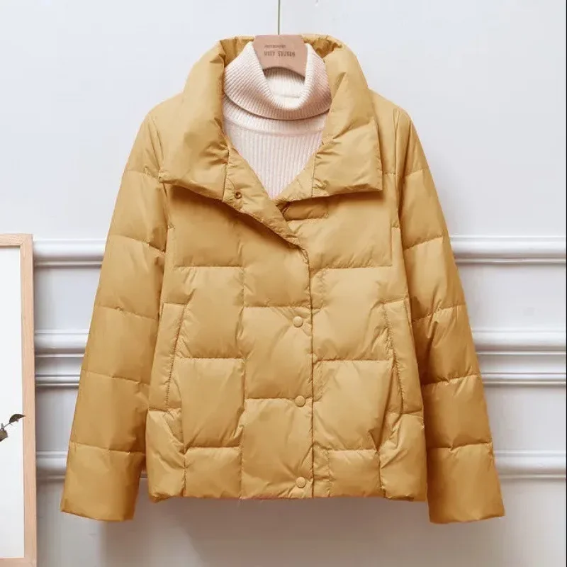 Daunen Baumwoll jacke Frauen neue Winterkleid ung koreanische lose kleine gepolsterte Mantel weibliche große Größe kurze leichte Parkas