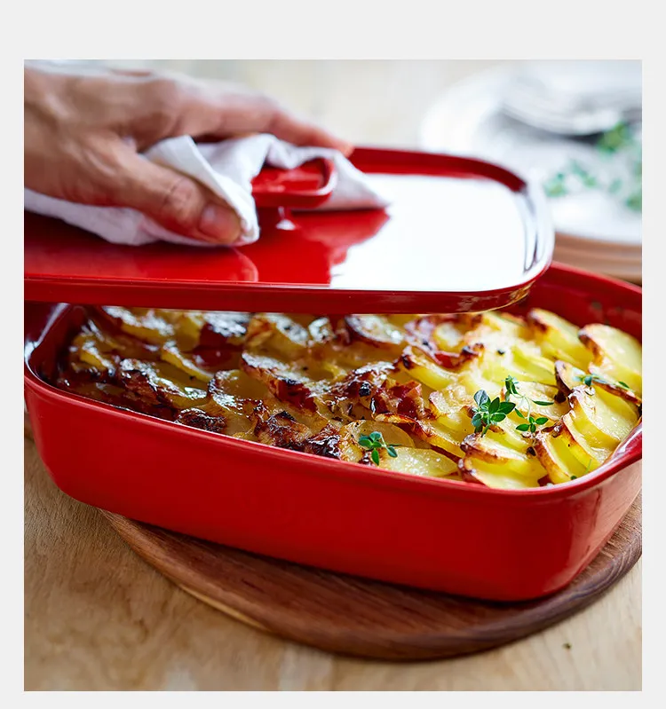 

Baking pan Oven, rectangular plate, large binaural plate