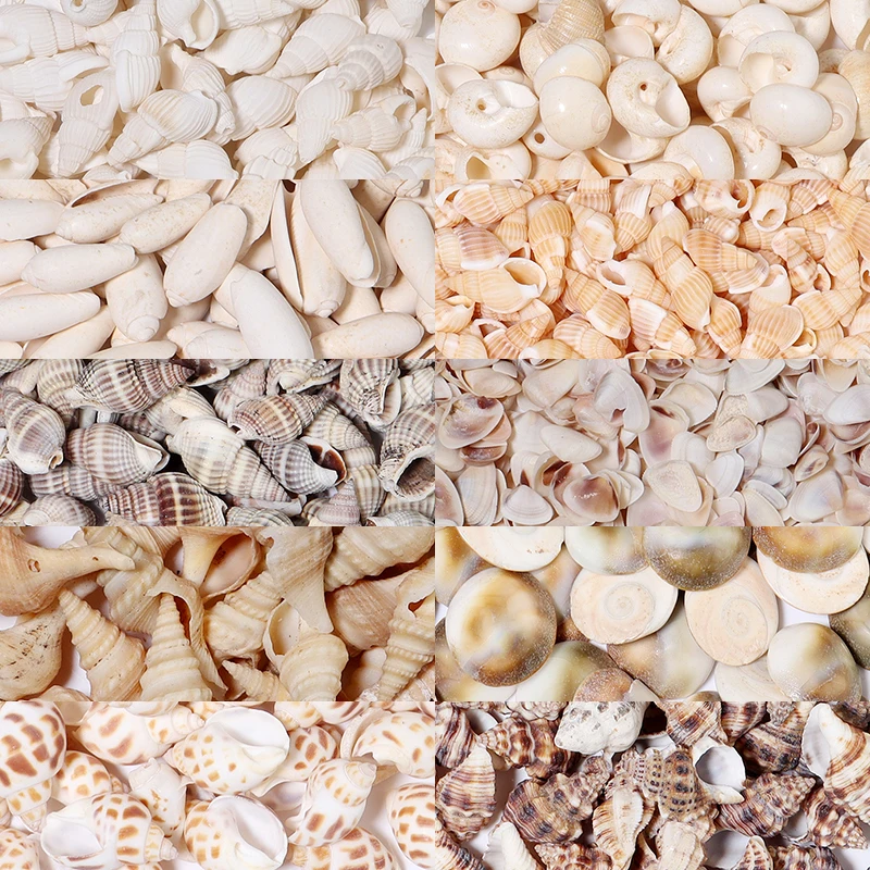 

1Box Natural Seashells Beads No Hole Shell Conch Beads Ocean Spiral Seashell Bead Loose Beads For DIY Jewelry Making Accessories