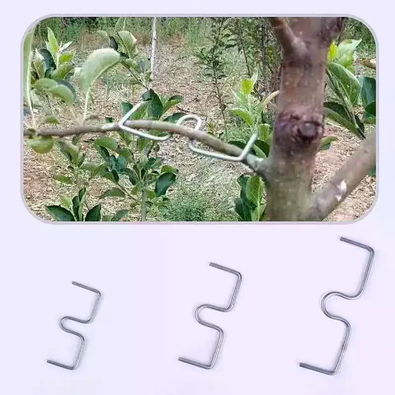 10Pcs M-Shaped Fruit Tree Branch Shape Fixators Trees Support Holder Plants Vine Trainers Steel Wire Branch Bending Tools