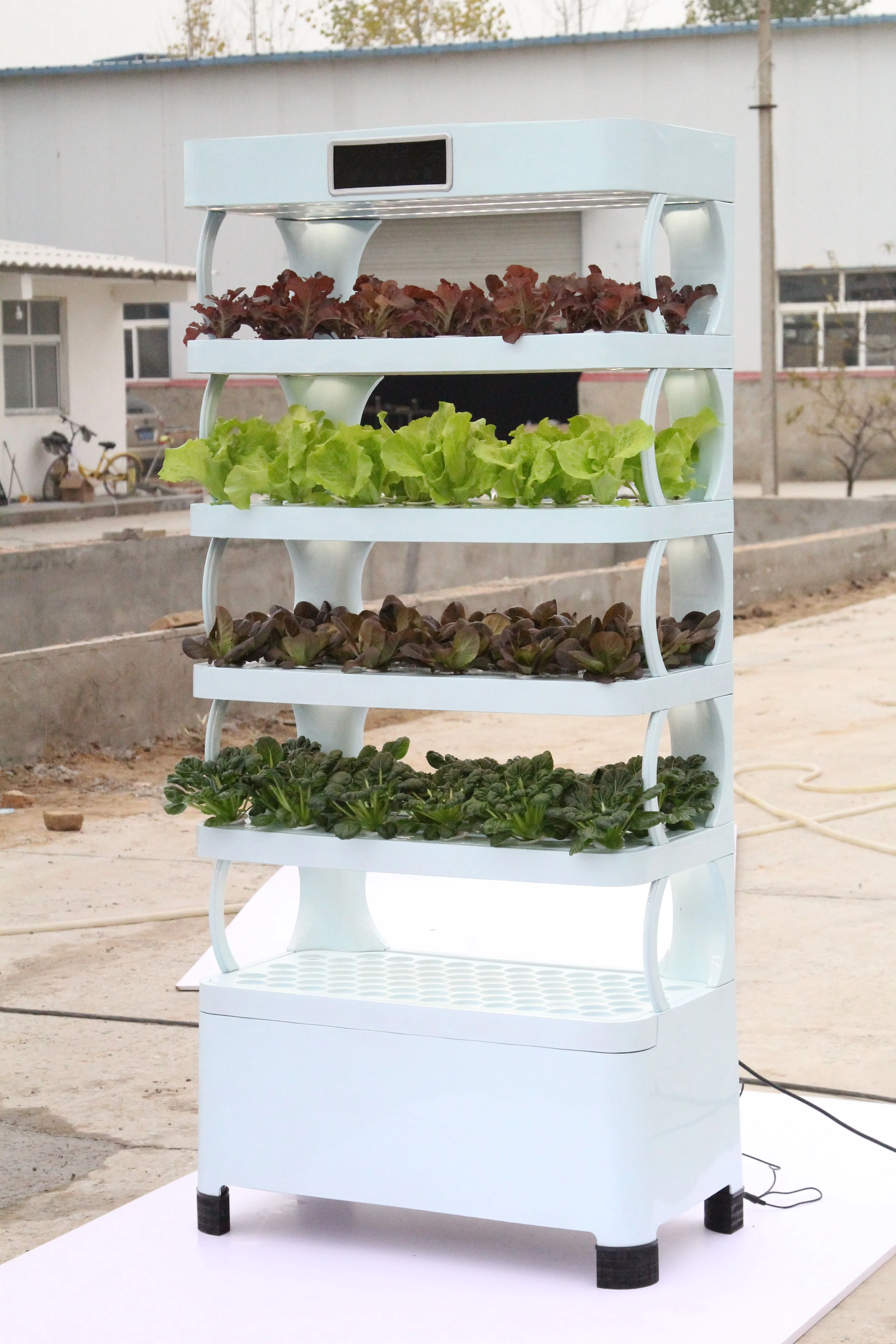 نظام النمو للخضروات الخضراء الورقية والحديقة المنزلية والنباتات الداخلية وخزانة الدفيئة المائية