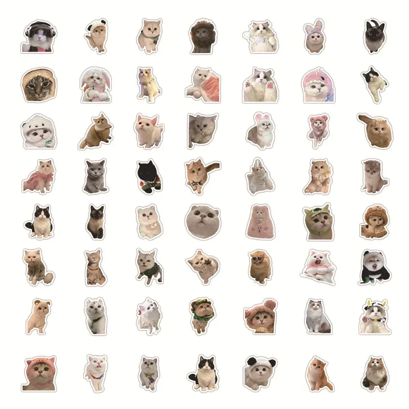 60 Sheet Kawaii Cat Sticker Real Shot Lovely Kitten Sticker DIY Stationery Decorative Scrapbook Phone Sticker Student Supplies