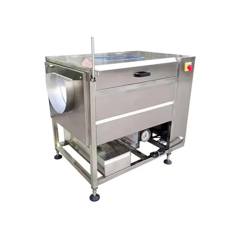 Small Vegetable Cleaning and Peeling Machine Fruit Radish Brush Taro Cassava Ginger Processing Washing Potato
