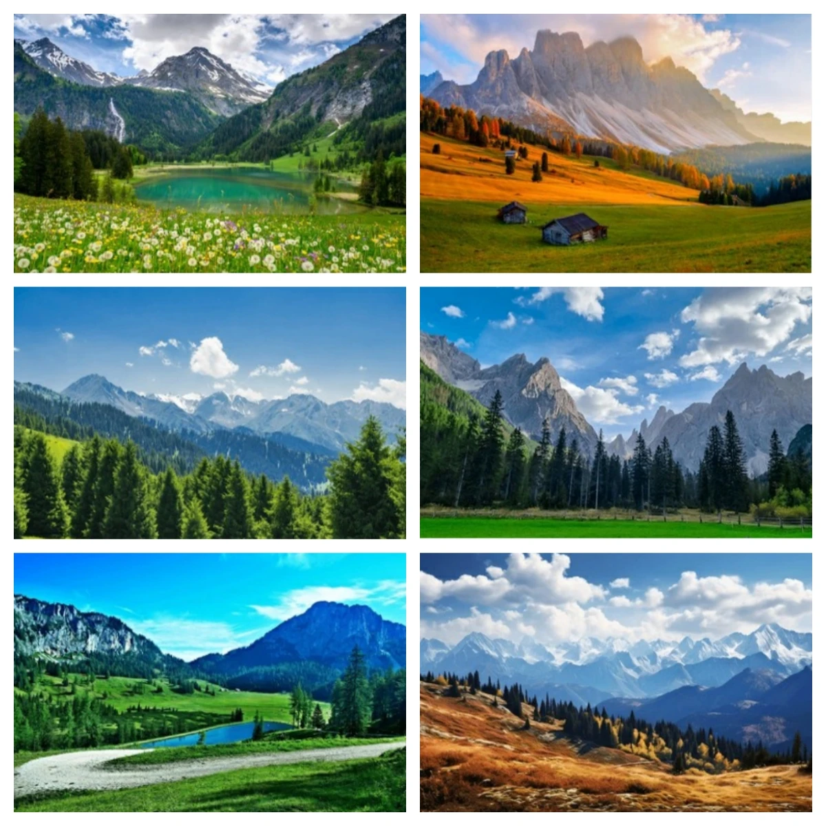 Natural Scenic Backdrop Forest Trees Grass Meadow Mountain Lake DecorArtistic Portrait Outdoor Trip Photo Shoot Studio Props